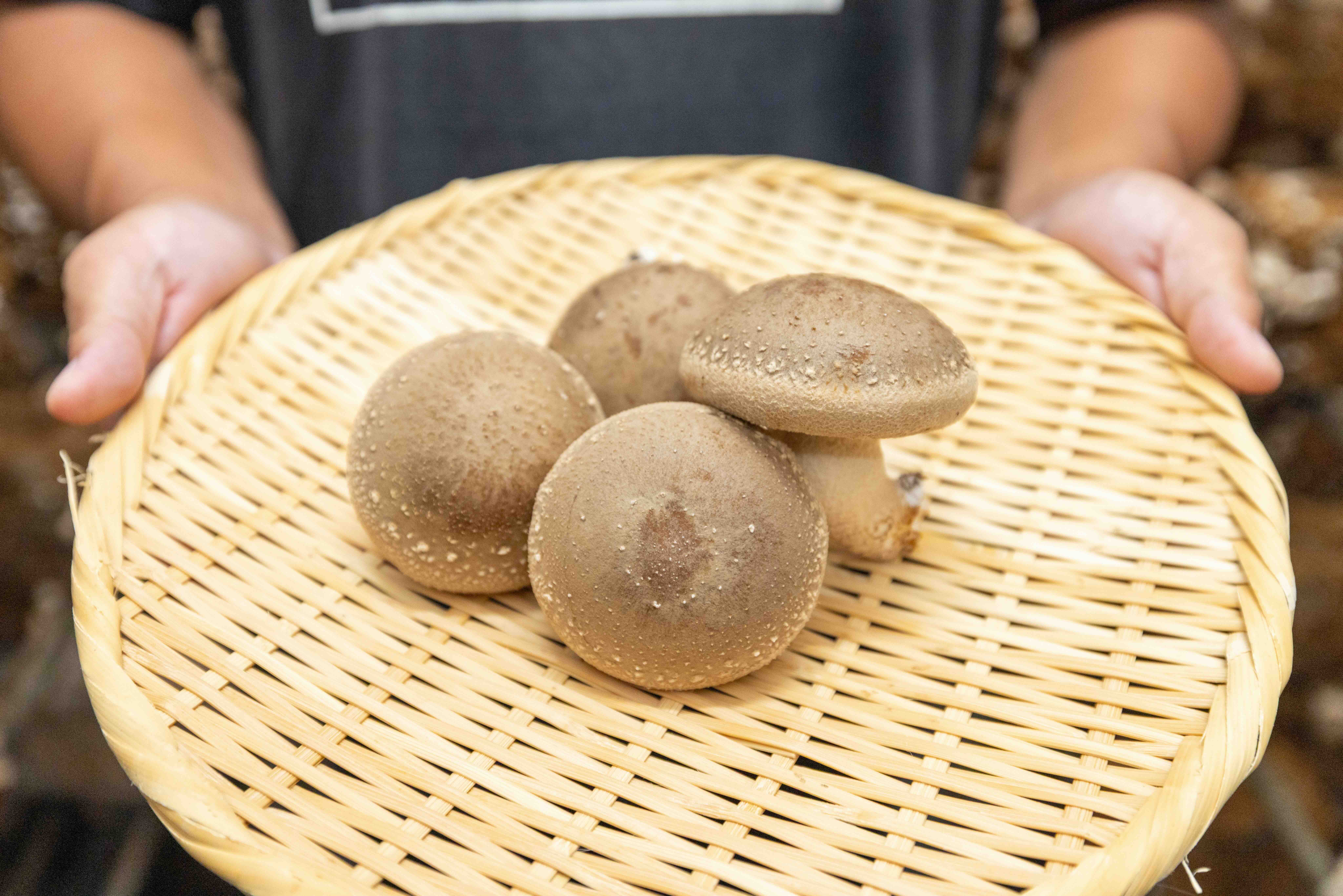 ギャラリー画像