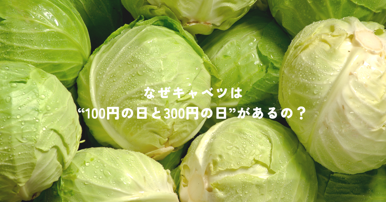なぜキャベツは “100円の日と300円の日”があるの？