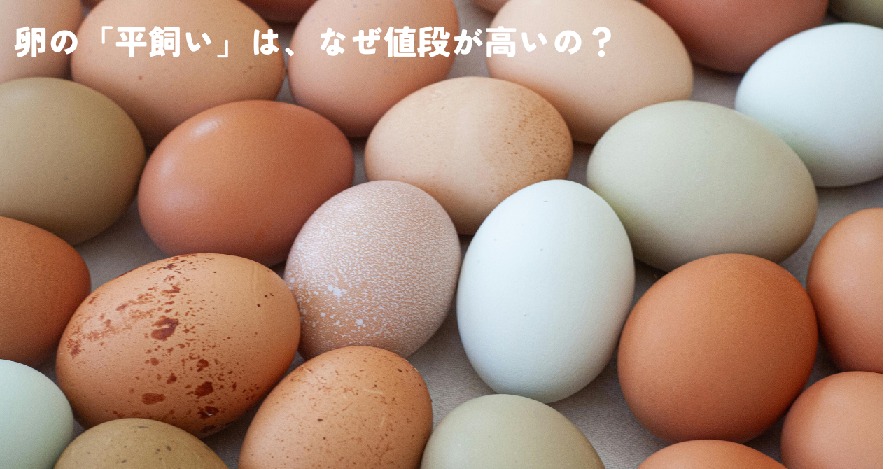 卵の「平飼い」は、なぜ値段が高いの？