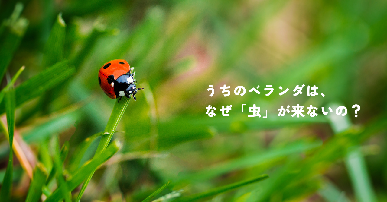 うちのベランダは、なぜ「虫」が来ないの？